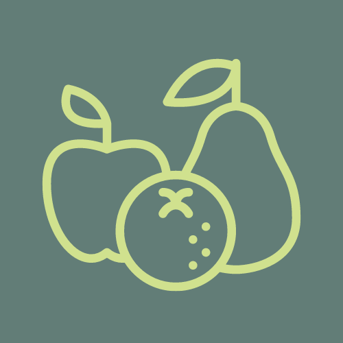 Obst Icon