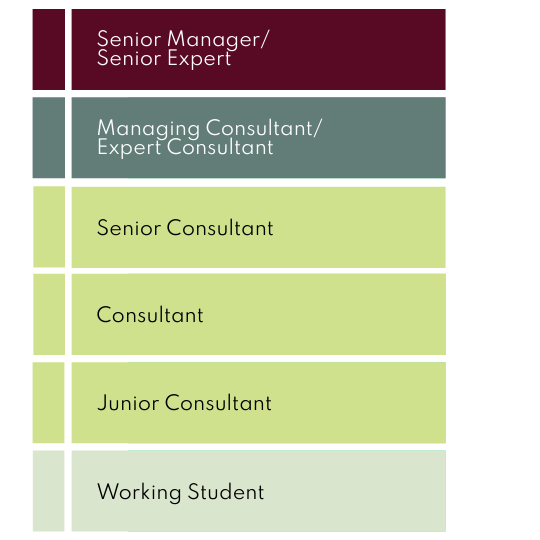 karriereleiter.png
